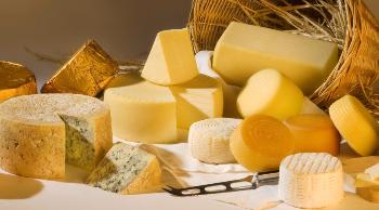 утилизация или уничтожение сыра и сырной продукции